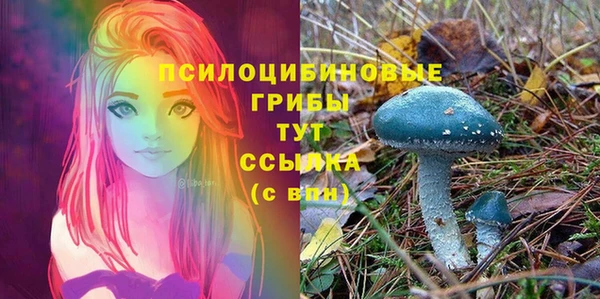 не бодяженный Волоколамск