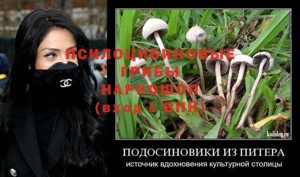 спиды Володарск